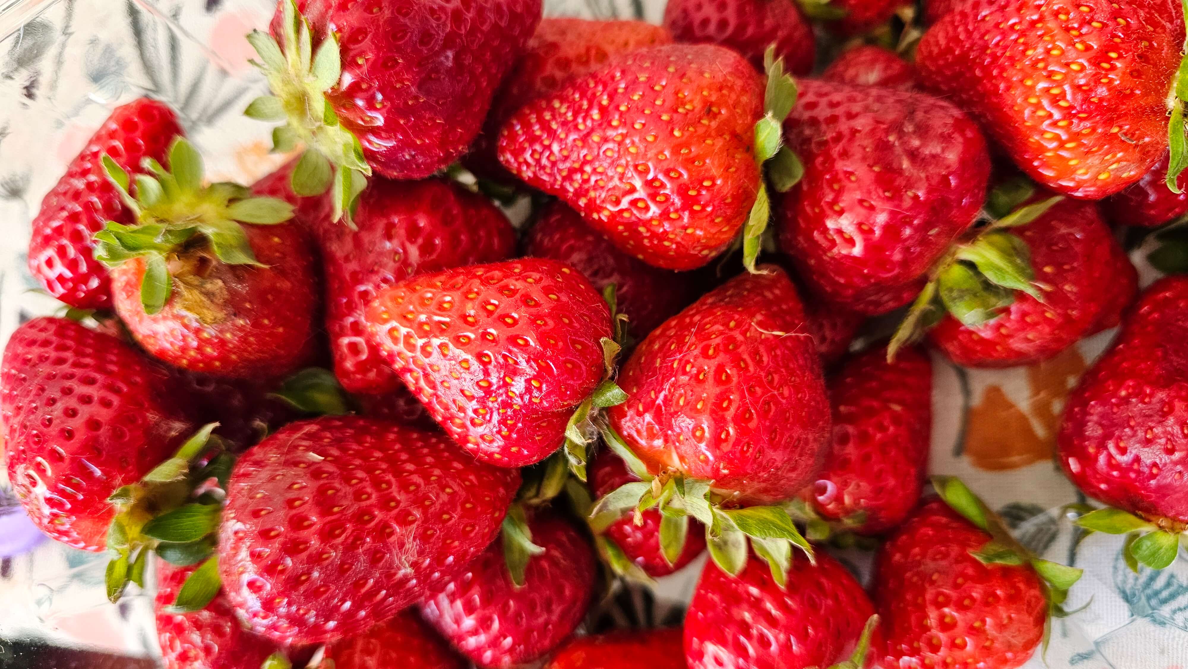 chilijskie truskawki