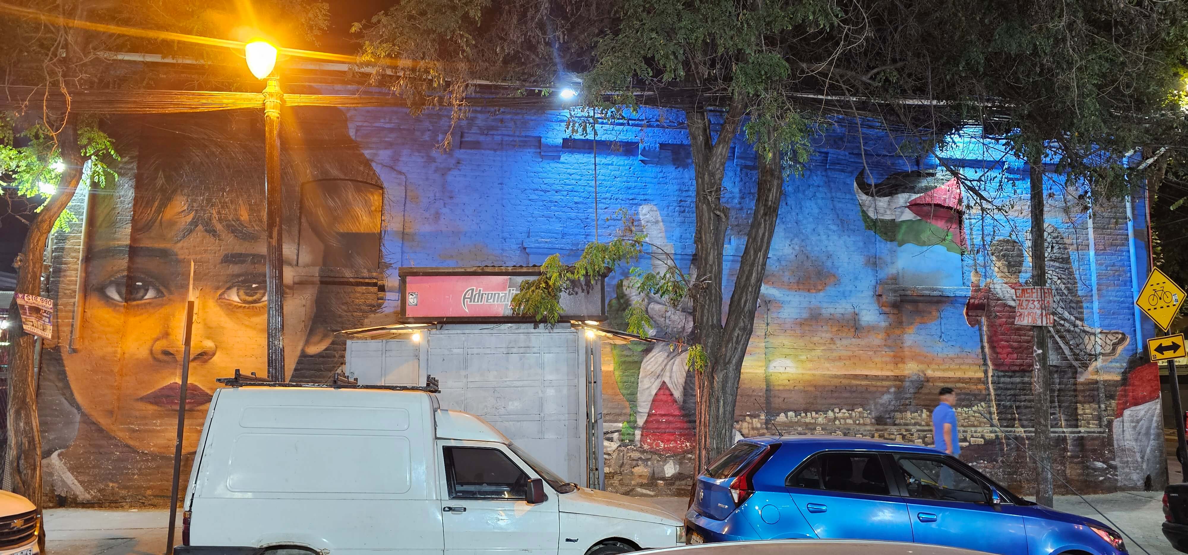 Palestine mural Bellavista Santiago