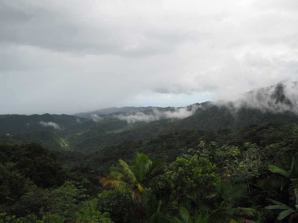 Las tropikalny El Yunque