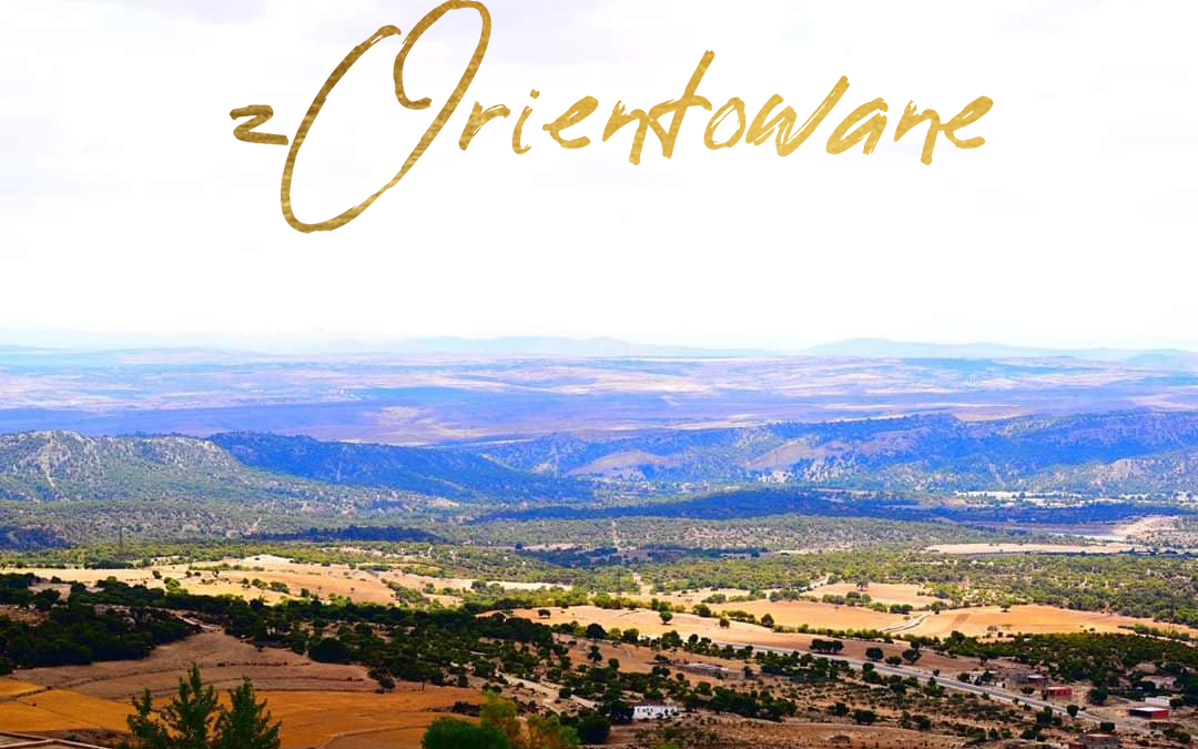 zOrientowane – odcinek 1