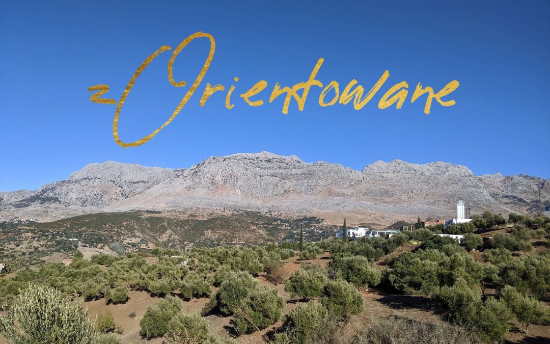 zOrientowane – odcinek 2