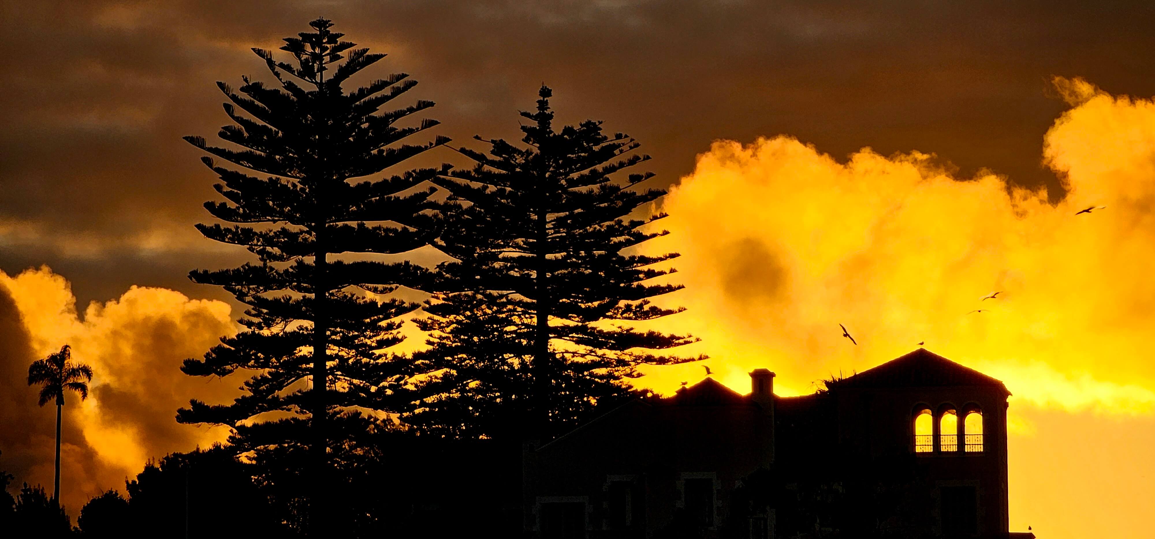 Chile z Księciem cz.2